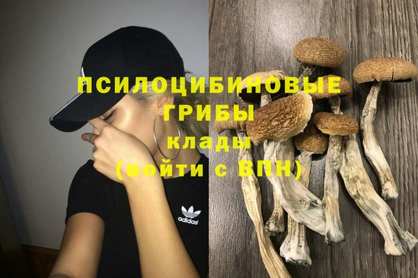 гашишное масло Ельня