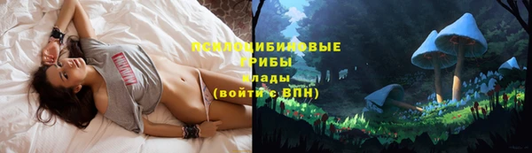 гашишное масло Ельня
