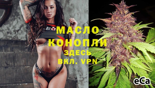 стафф Елабуга