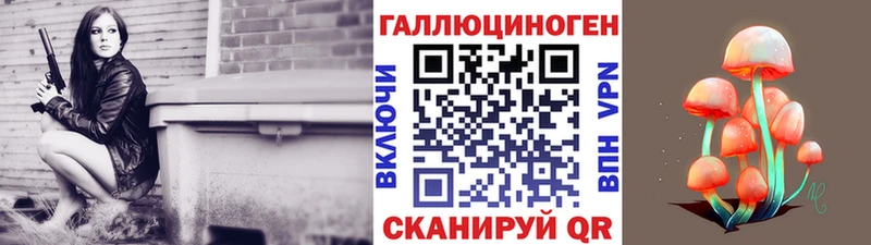 Купить закладки  Наволоки  Псилоцибиновые грибы Psilocybine cubensis 